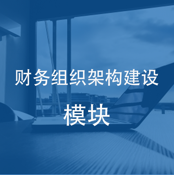 财务组织架构建设