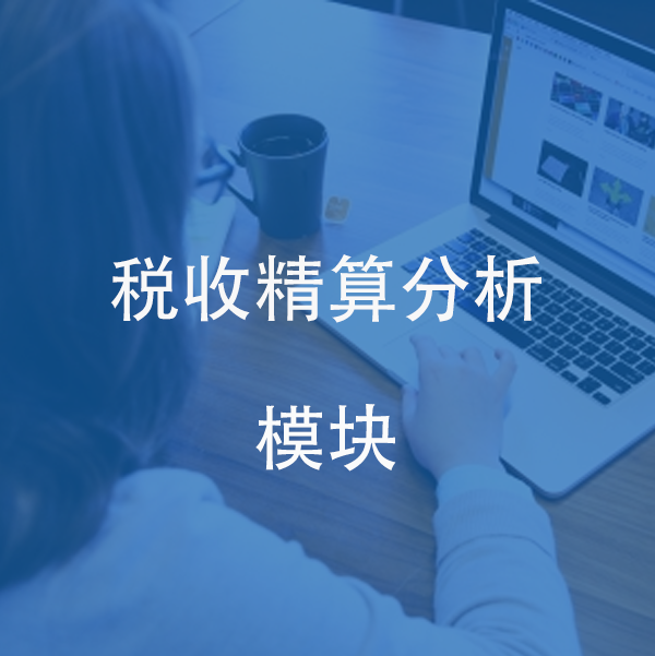 税收精算分析